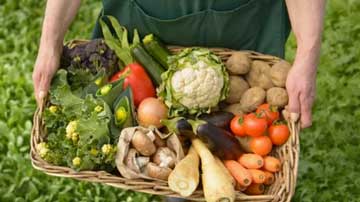 Agricultura ecológica 
<br/>y beneficios para la salud
